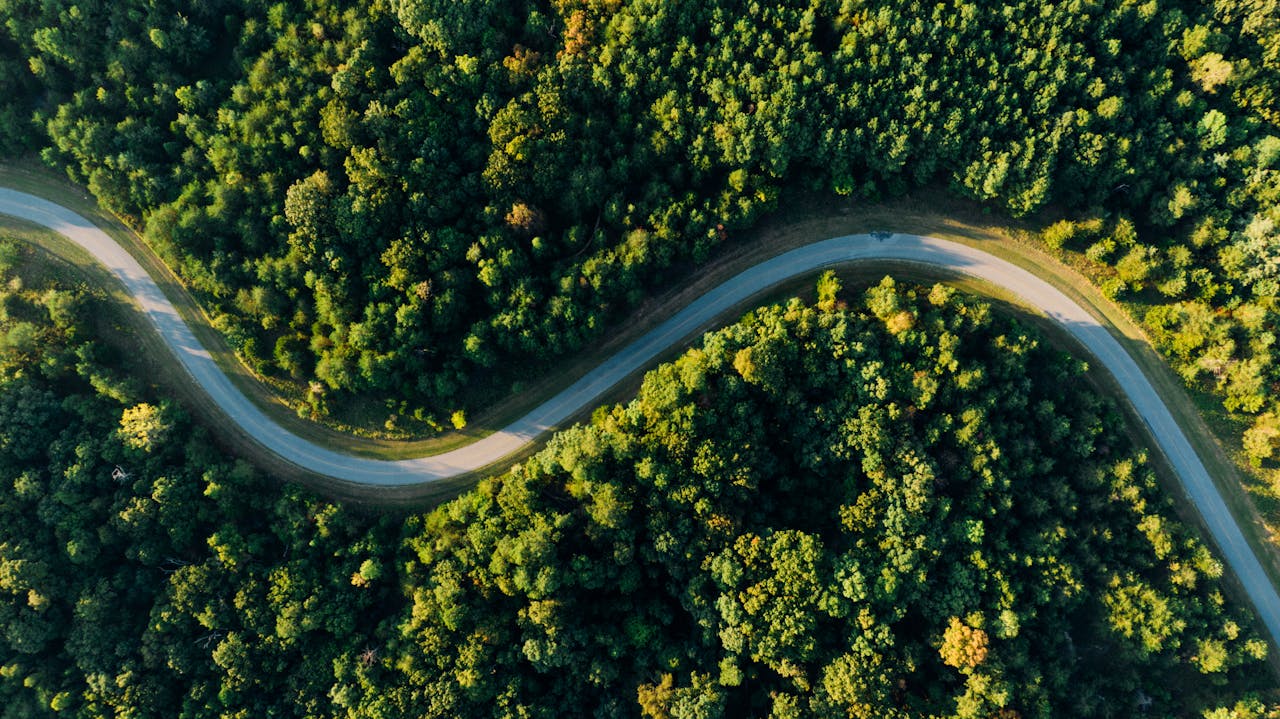 A winding road meanders through lush green forest from a high angle view.